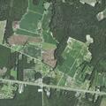 Complaint about numerous cats at Beulaville home