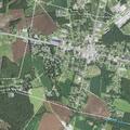 Deputy investigates screams in woods on Hallsville Road