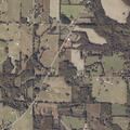 Elderly woman reported sick near County Road 167 in Lexington