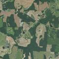 Person reported to have fallen on Old Pageland Marshville Rd