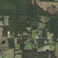 Male found near Highway 321 East has no injuries