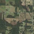 Suspicious people reported in woods behind home