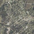 Domestic dispute with reported injuries