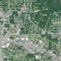 Elderly woman with dementia found on Stuart Road