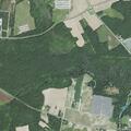 Woman fainted near Kenansville