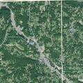 Tree downs power lines and blocks Alpine Drive