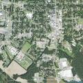 Report of trespassers; caller reports possible bodies in yard