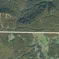 Physical domestic dispute at New Home Loop home