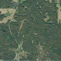 79-year-old man having a possible seizure in Tennessee