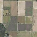 Person having convulsions near Highway 38 in Cotton Plant
