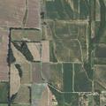Person experiencing severe chest pain near Cotton Plant
