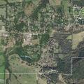 Resident reports city damaged cultivated trees