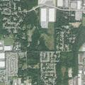 Person fallen at Piney Woods Avenue intersection