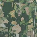Brush fire spreads through field toward trees