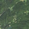 Missing 77-year-old woman reported near Little Foxglove Lane off Greasy Creek