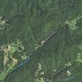 Woman in extreme pain near Green Cove Road in Brasstown