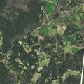 Person receiving CPR after overdose at Newman Drive