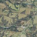 Injured dog reported on Minor Hill Highway