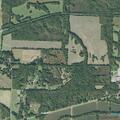 Female fall victim with head injury and confusion in Tennessee