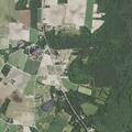 Vehicle theft reported on Daughtry Lane