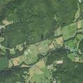 61-year-old man reported having allergic reaction after tongue sting near Laughing Waters Ln