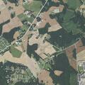 Person fell near Carl Polk Road in Unionville