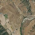 Cows reported loose on Cat Canyon Road
