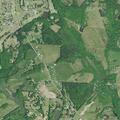 Woman falls near New Cut Road in Campobello, SC