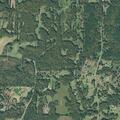 46-year-old woman reported having suicidal thoughts near Good Springs Loop