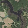 Son reportedly tries to hit mother at Alligator Loop home