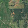 Grass fire reported on Judy and Jody Road