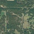 79-year-old female reported sick at rural residence