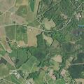 Assault victim reported near Hood Road in Chesnee