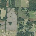 Elderly woman with swollen leg at Clay Pond Drive