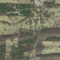 Vehicle hits animal; driver requests medical check