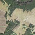 Mother reported hitting 10-year-old near Robbins Road