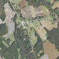 Injured deer in ditch after vehicle strike