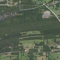 Tree blocking roadway near Bethel Road in Hackett