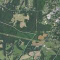 Person reported sick near Love Mill Road in Albemarle