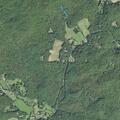 Person assisted with mobility near Forest Trail in Balsam Grove
