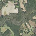 Friendly husky reported at Great Swamp Road home