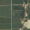 Person with back pain near McCorkle