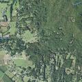 Person reports routine pain call near Whitener Road in Brevard