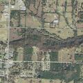 Woman acting unusual near Highway 7 North
