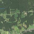 Person experiencing chest pains near Tall Oaks Drive