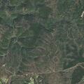 Motorcycle crash with rider thrown into woods