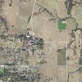 Dogs reported killing poultry at Meinrad Avenue home