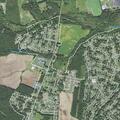 81-year-old female falls and suffers head injury