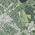 Person with psychiatric emergency near Spring Branch Road