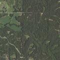 Person reported sick near County Road 368 in Widener